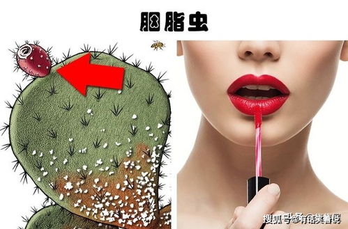 生活中常見(jiàn)美容產(chǎn)品所隱藏的7種奇怪的成分